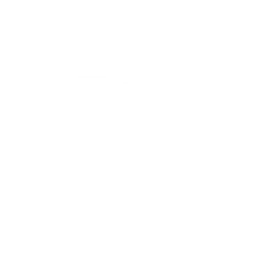 Infinity Prestige